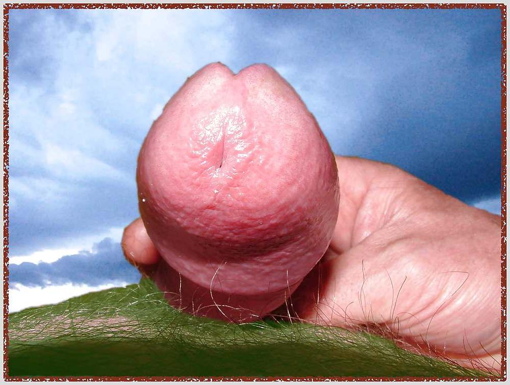 24P Cock member penis dick erection art funny