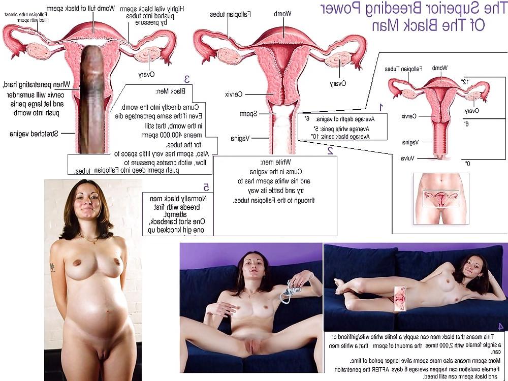 25P Baby Maker - Insemined by BBC