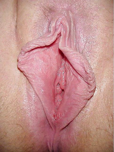 25P Big pussylips