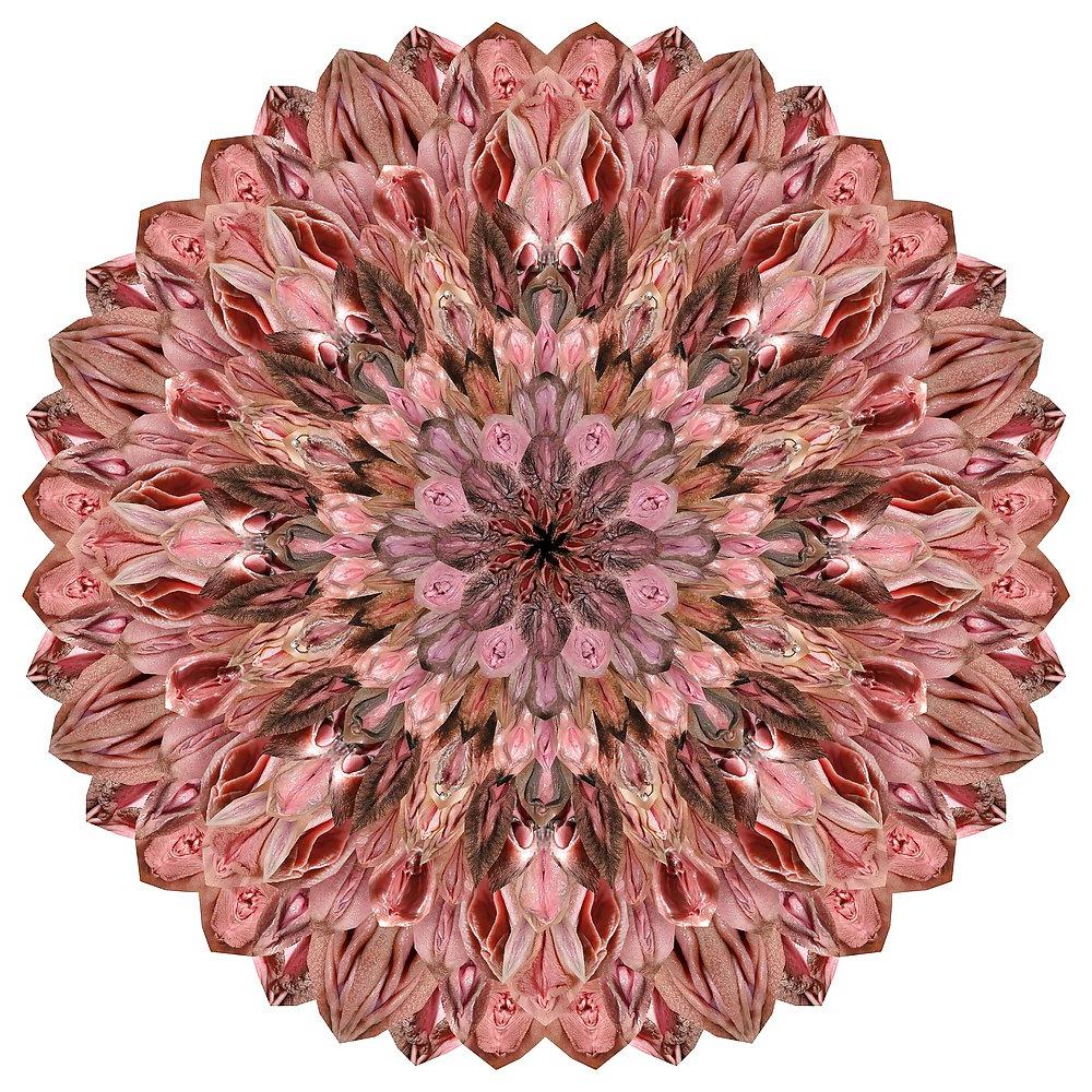 25P ART 6