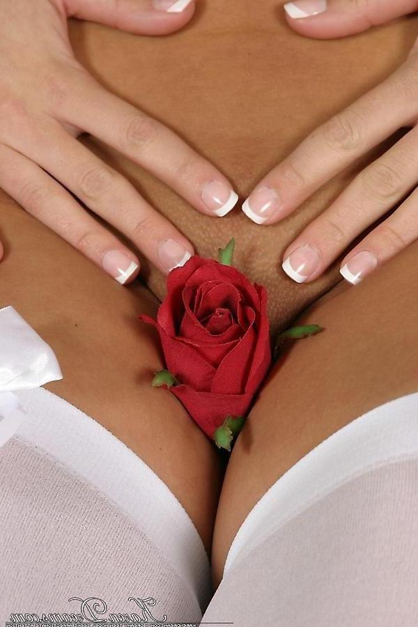 20P Pictures of teen Karen Dreams playing with a rose