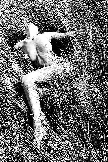25P Nude Photo Art 9 - Gavin Oneill