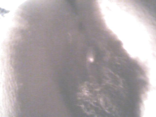 16P Italian chubby hairy girl