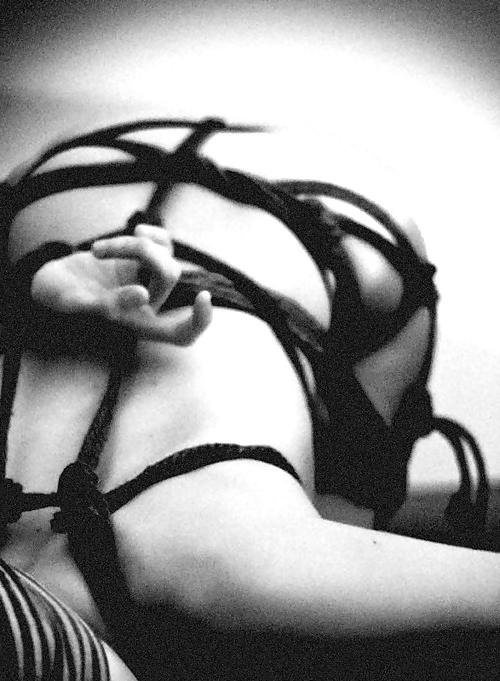 25P The art of shibari