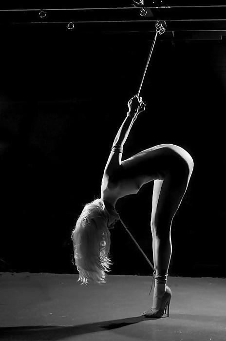 25P The art of shibari