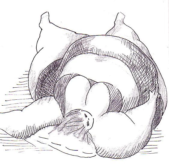 24P BBW Art 1