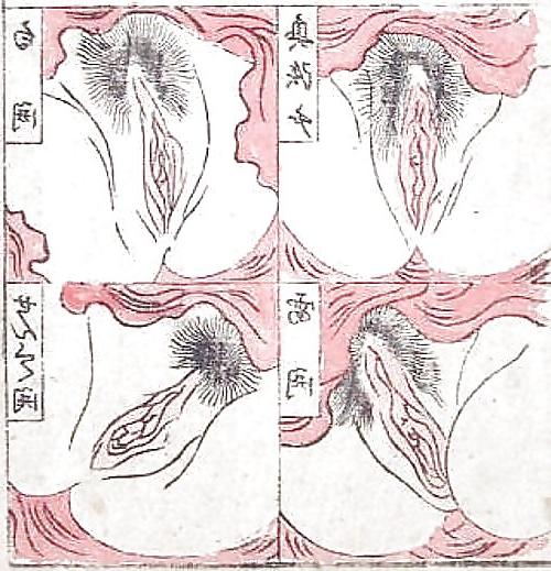 24P Printed Ero and Porn Art 8 -  Japanese Shungas (2)
