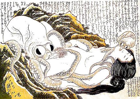 24P Printed Ero and Porn Art 8 -  Japanese Shungas (2)