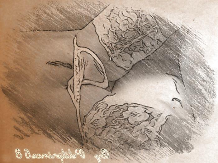 7P Un peu d'art 