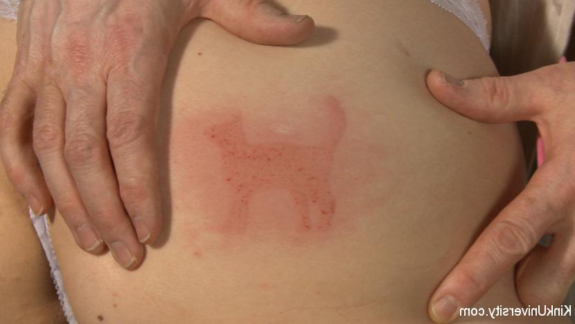15P Learn how to mark your submissive's skin with marks (not markers), in a delibera