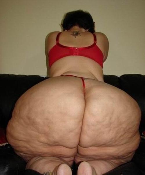 16P huge ladies showing their big cellulite asses