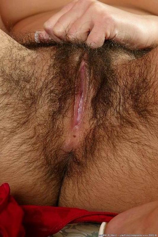 15P A hairy babe spreads her juicy pussy