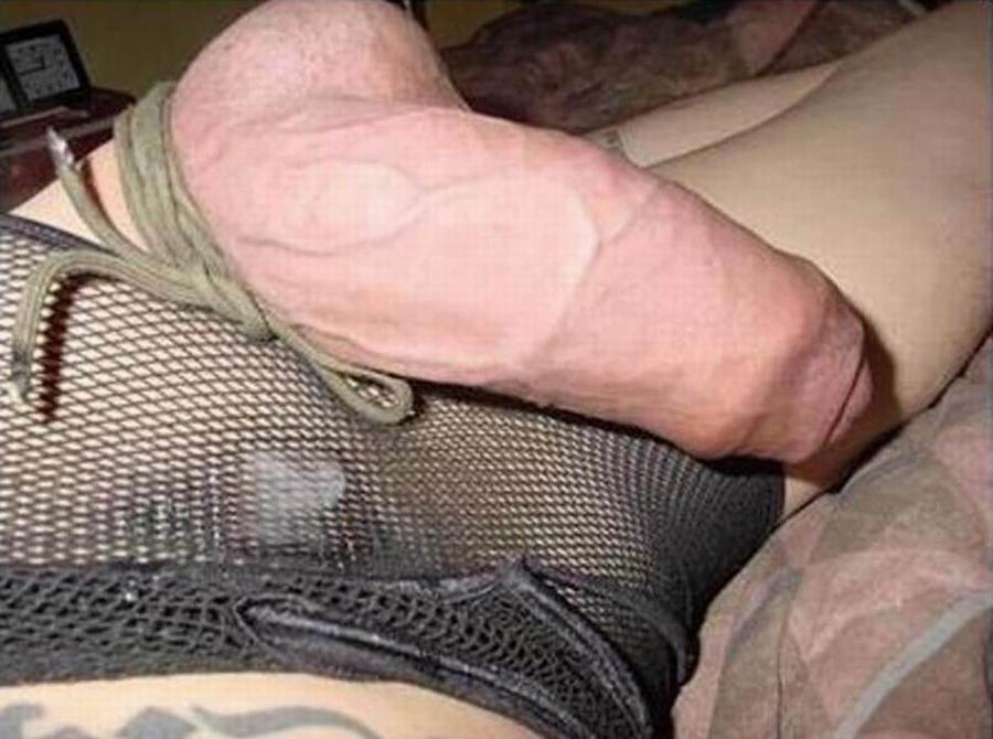 15P guys showing their hard big cocks