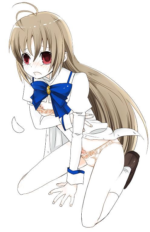 25P Tranny Art 13