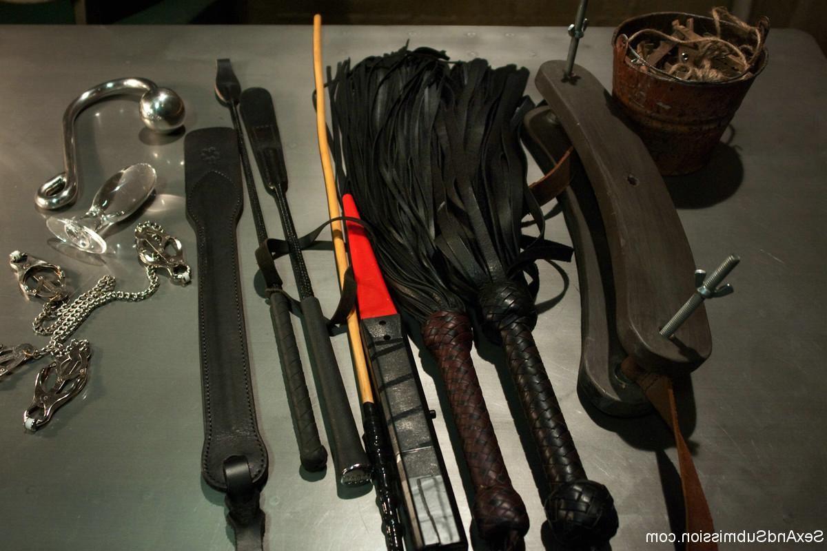 24P Busty women dominated and fucked in bondage by border patrol.