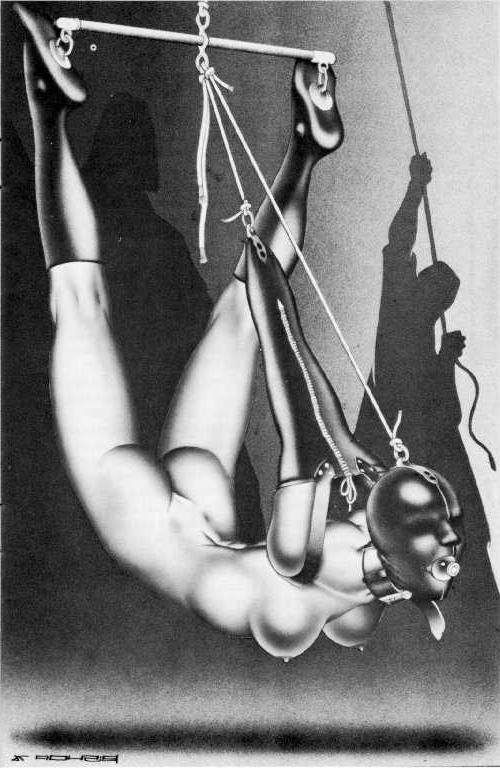 15P rope fetish beautiful huge breast female bondage artworks