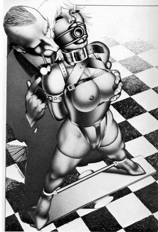 15P rope fetish beautiful huge breast female bondage artworks