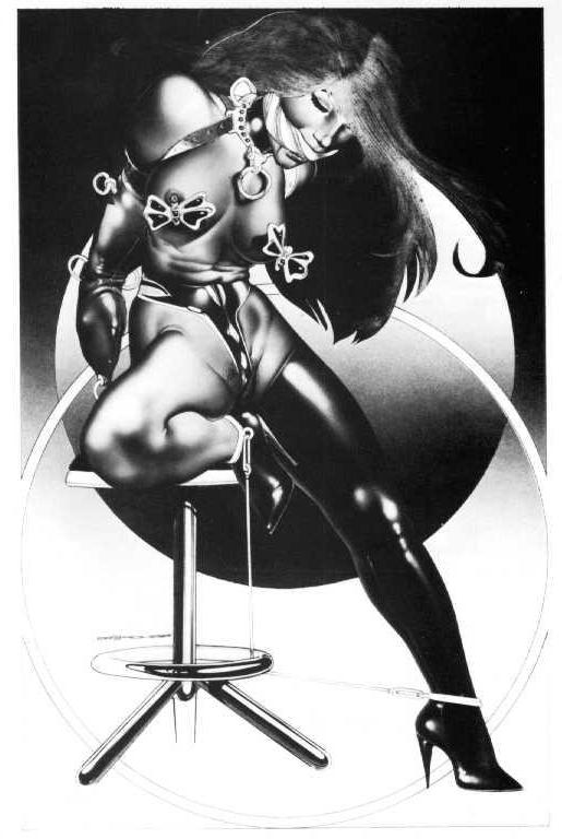 15P vintage masterpieces of female rope bondage art