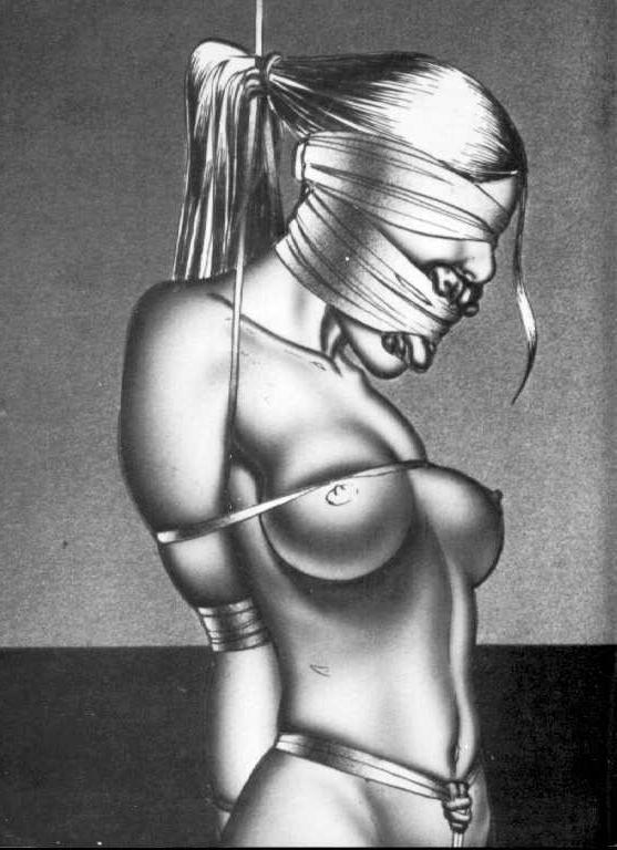 15P vintage masterpieces of female rope bondage art