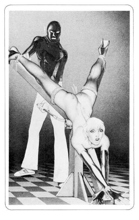 15P vintage masterpieces of female rope bondage art