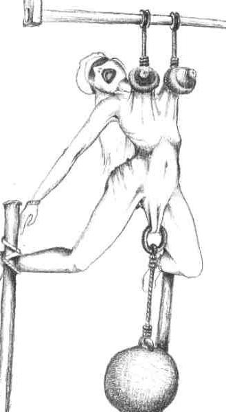 15P evil bondage horror painful female rope artwork