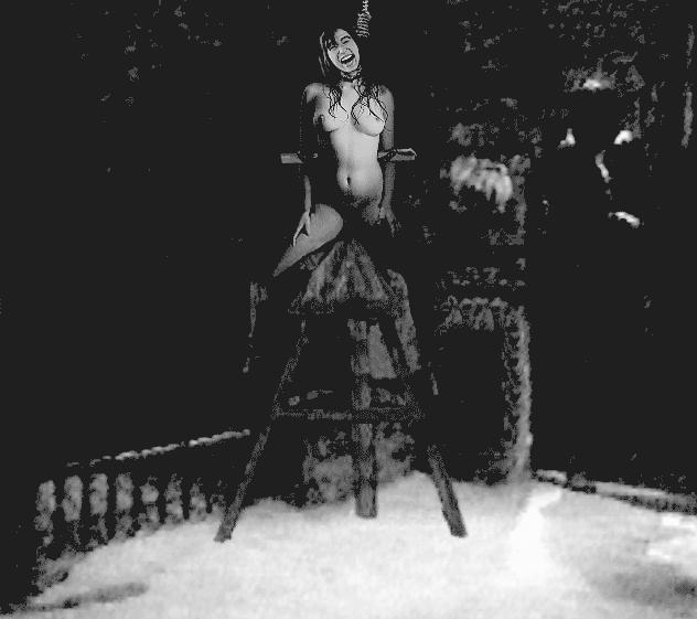 15P three D female evil bondage artwork