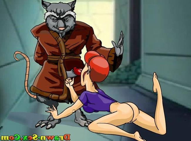 16P Famous toon Ninja Turtles hardcore cartoons