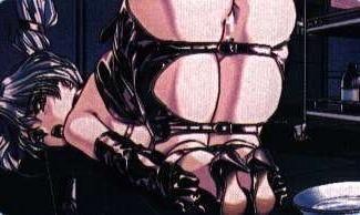 16P toon bdsm photos