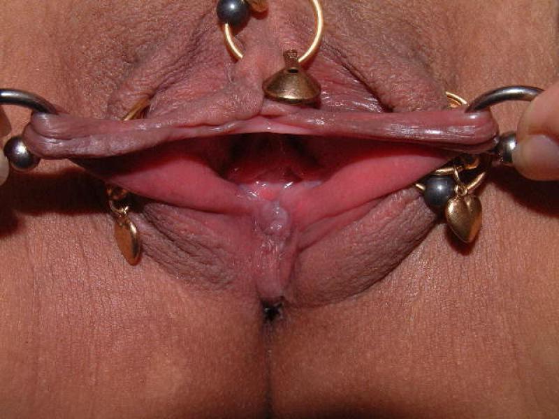 15P extremely pierced and bondaged pussies