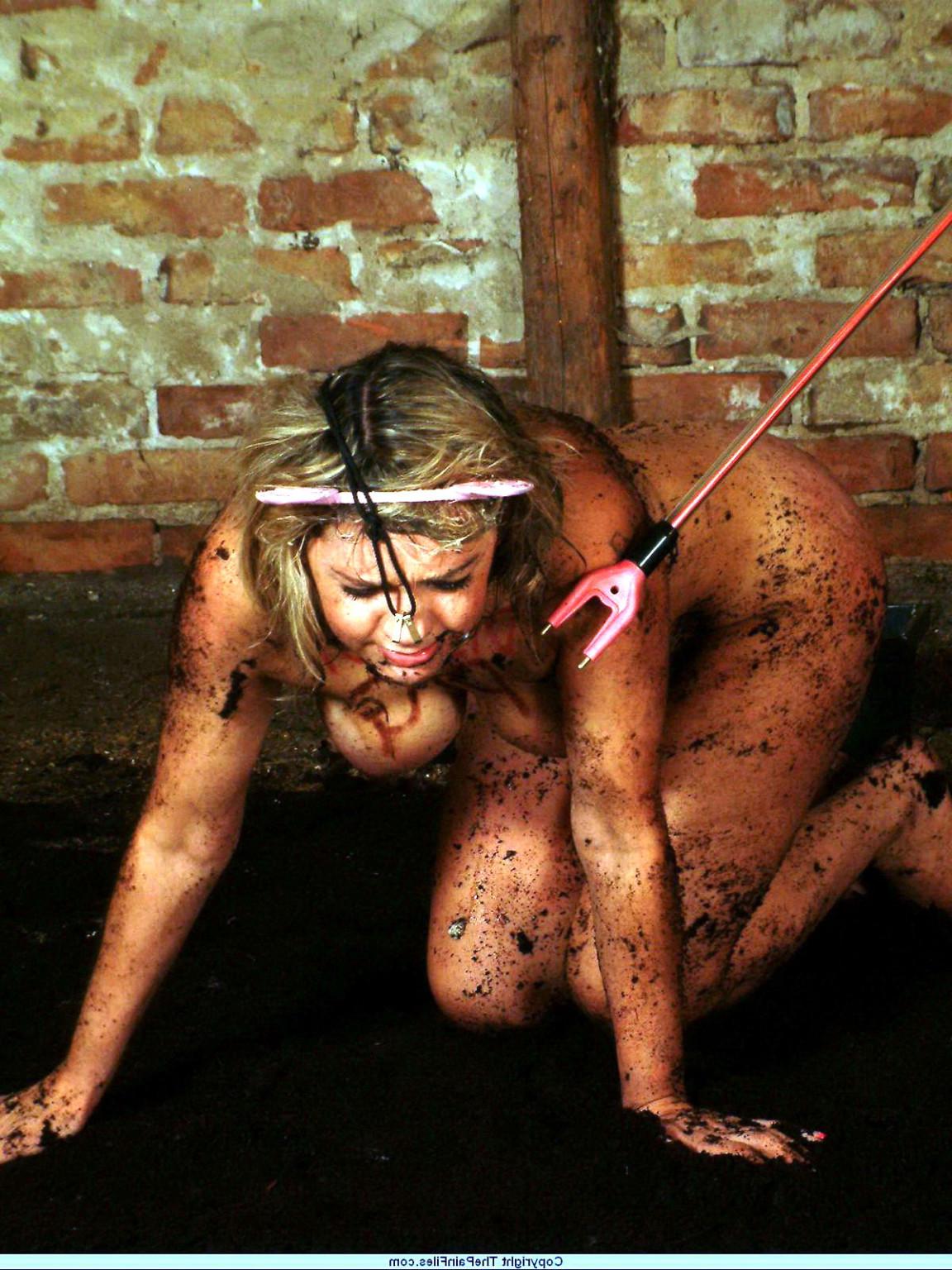 15P Bizarre messy humiliation of electro prodded degraded slave