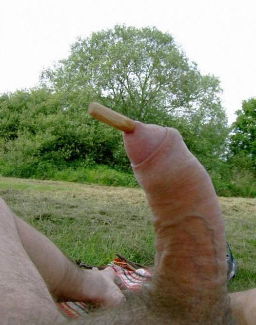 16P Extremely insertions in penis