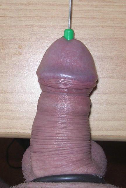 16P Extremely insertions in penis
