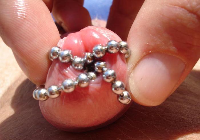 15P Extremely Insertions In Penis