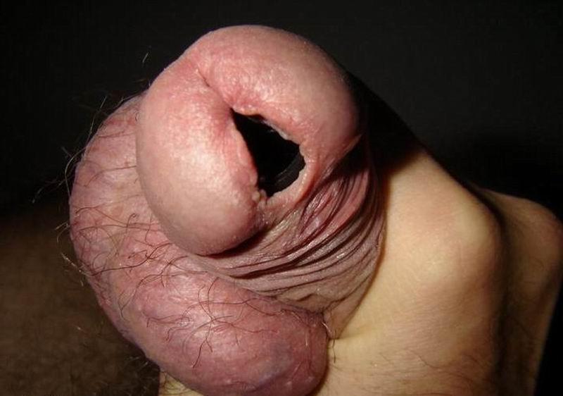 16P Very extremely insertions in penis