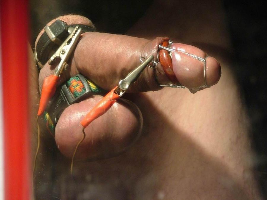 18P extremely tortured dicks