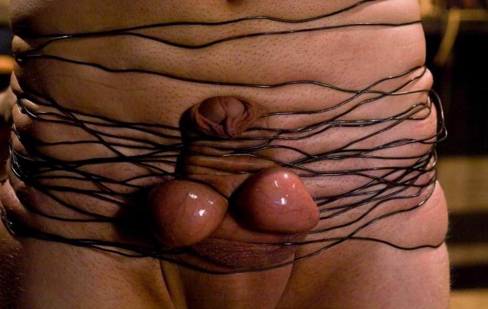 18P extremely tortured dicks