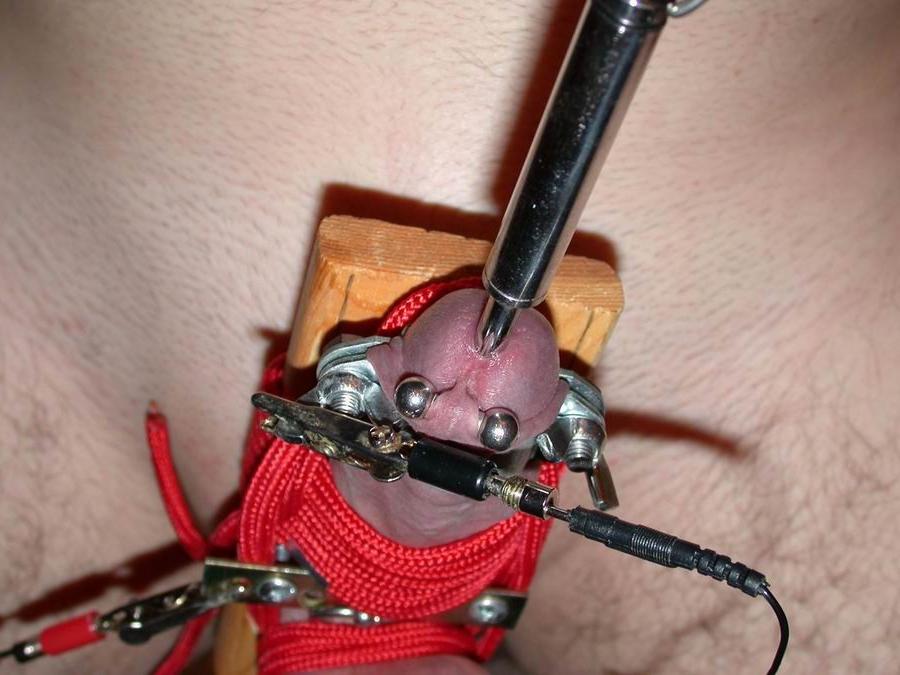 18P extremely tortured dicks