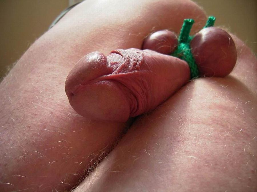 17P extremely tortured dicks