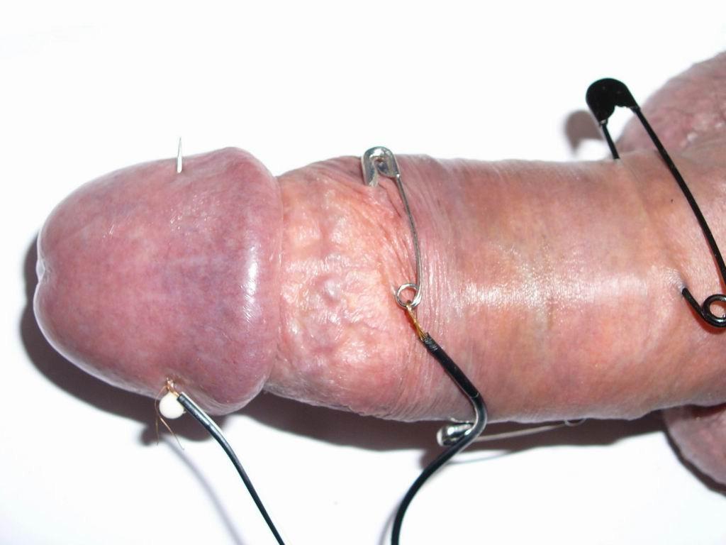 17P extremely tortured dicks