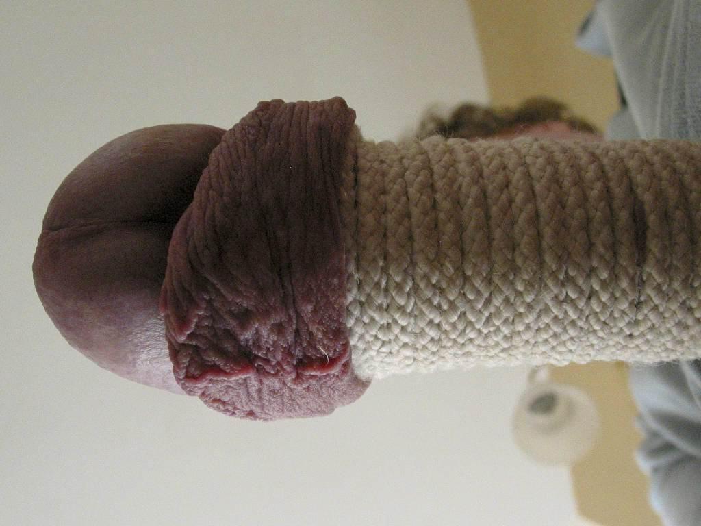 17P extremely tortured dicks