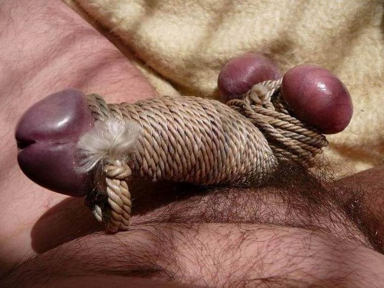 17P extremely tortured dicks