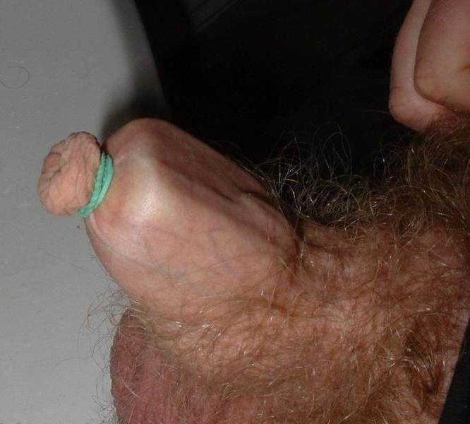 18P cruel torments of cocks