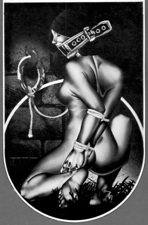 15P vintage female rope bondage and pain artworks