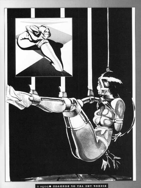 15P vintage female rope bondage and pain artworks