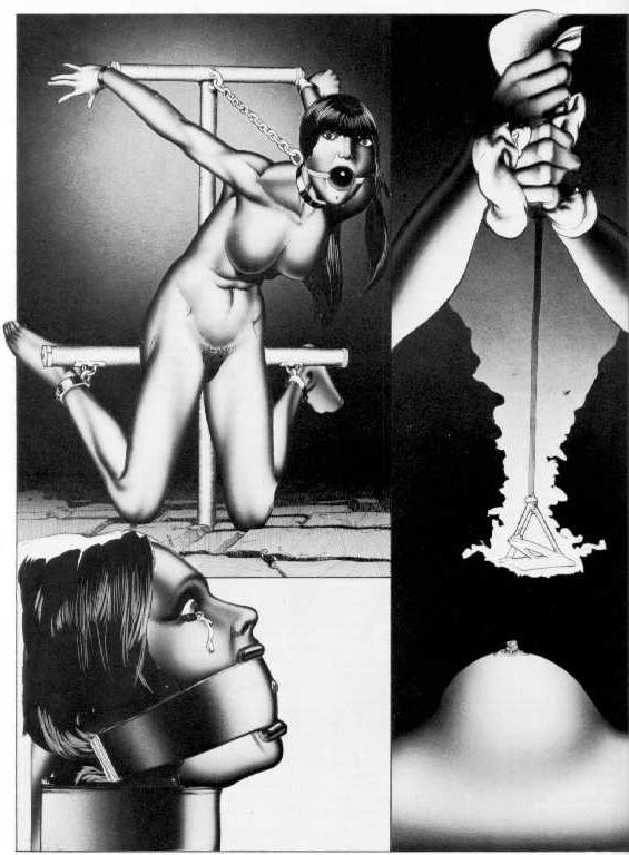 15P vintage female rope bondage and pain artworks
