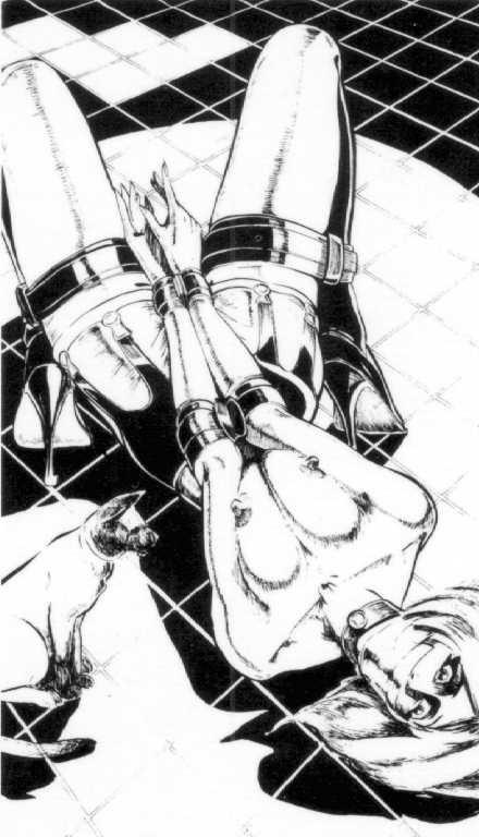 15P vintage female rope bondage and pain artworks