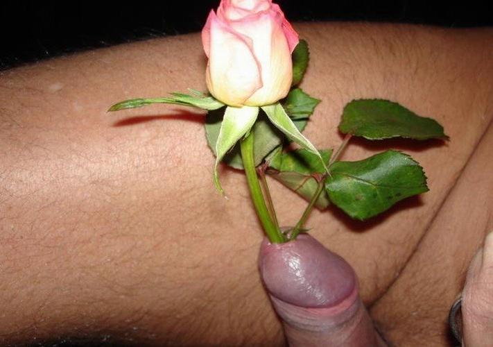 18P Extremely Insertions In Penis