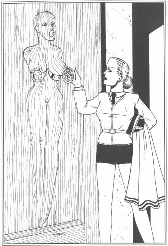 15P breast bdsm pumps and fetish art