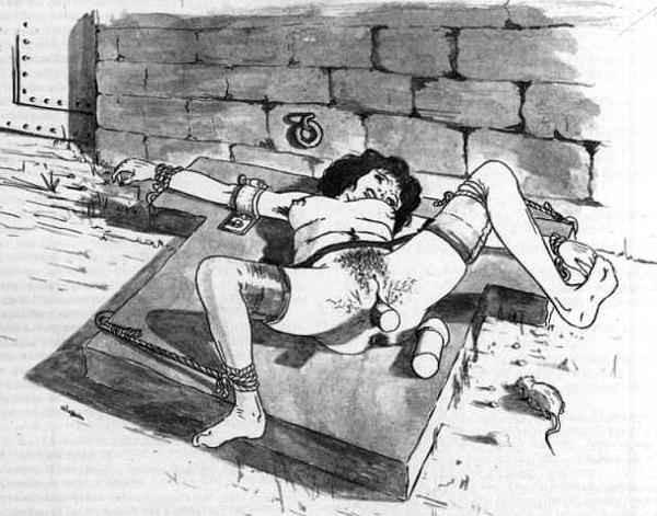 15P farrels evil bondage artworks