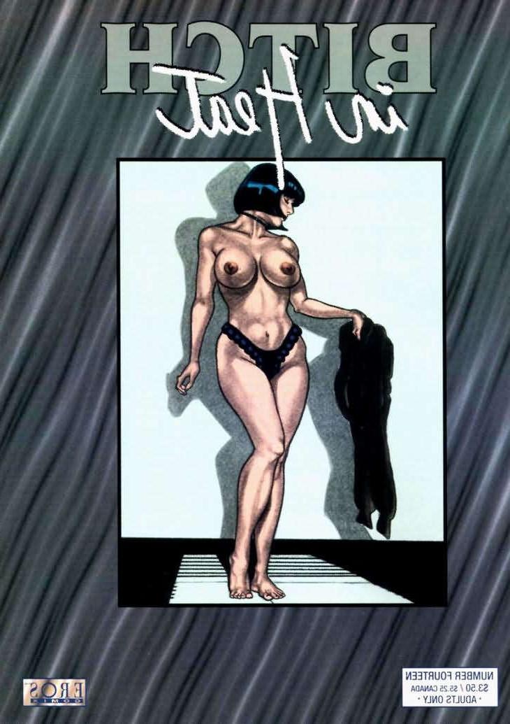 15P classic sexual bondage comic